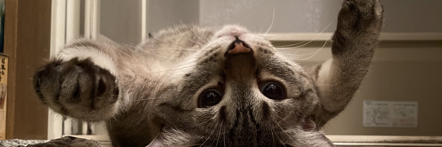 Bananapony92's profile banner image