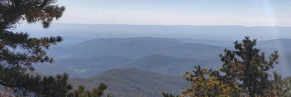 upstatepam's profile banner image