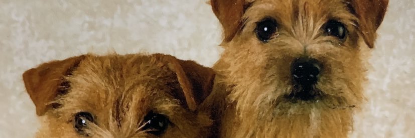 norfolklover51's profile banner image
