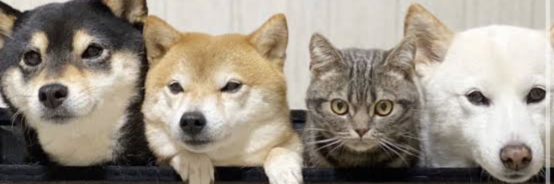 bikkbang's profile banner image