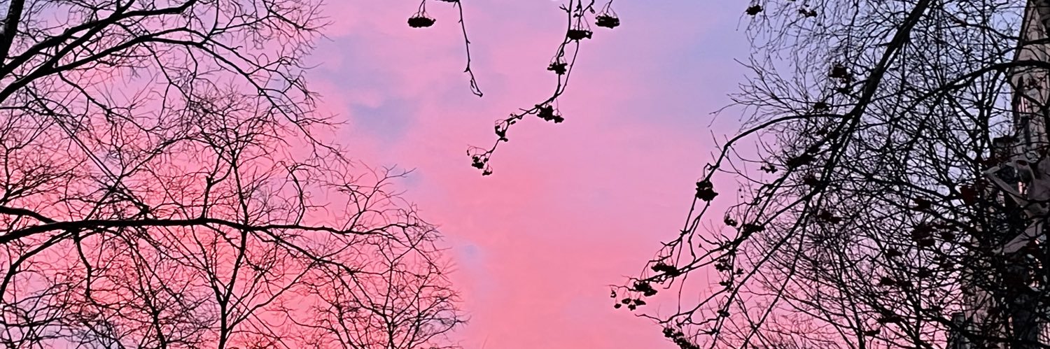 IMAGINER banner