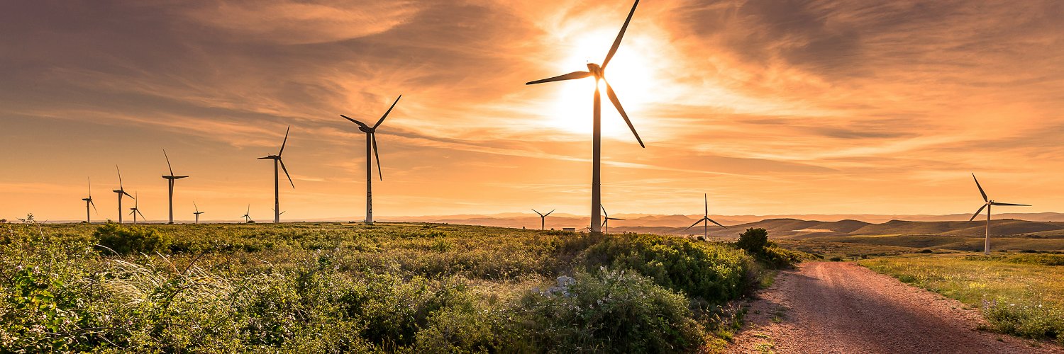 TULIP Consulting banner