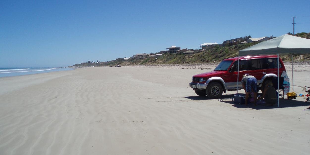 Terry Aston 🏴󠁧󠁢󠁥󠁮󠁧󠁿 🌸 banner