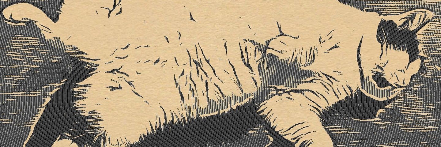 plotiflora's profile banner image