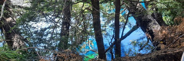 danielcasanova Profile Banner