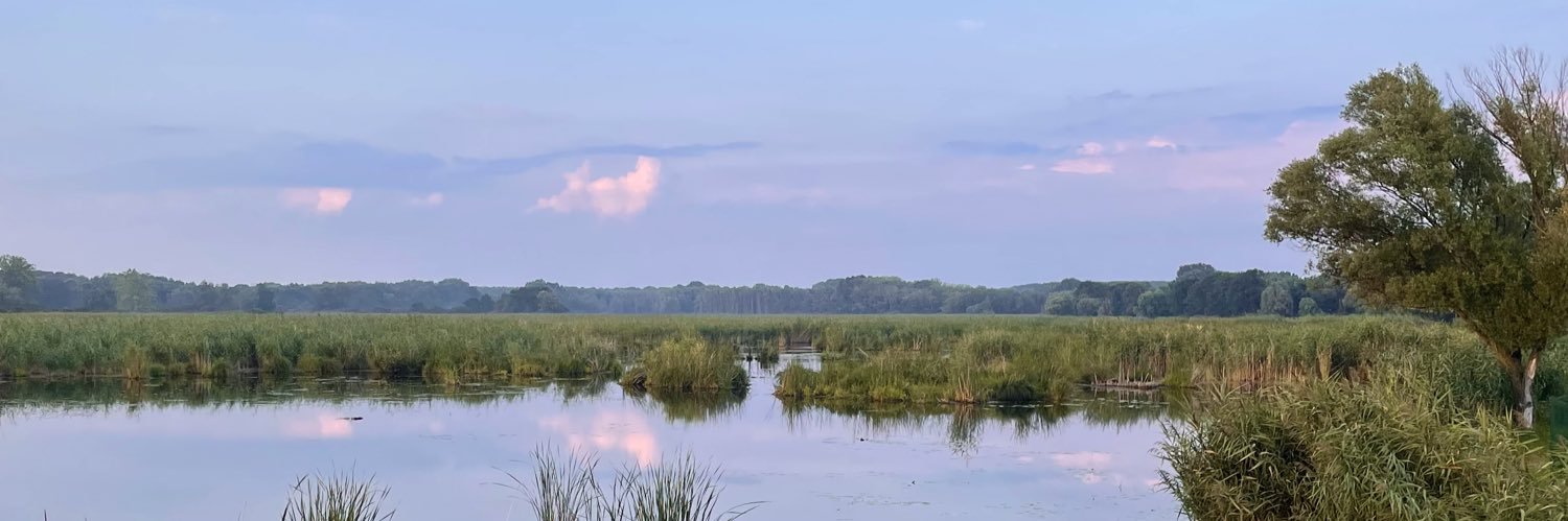 Zsófi 🧠🤝🏻 banner