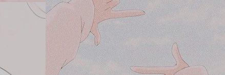 🦒 daisy 🧸 banner