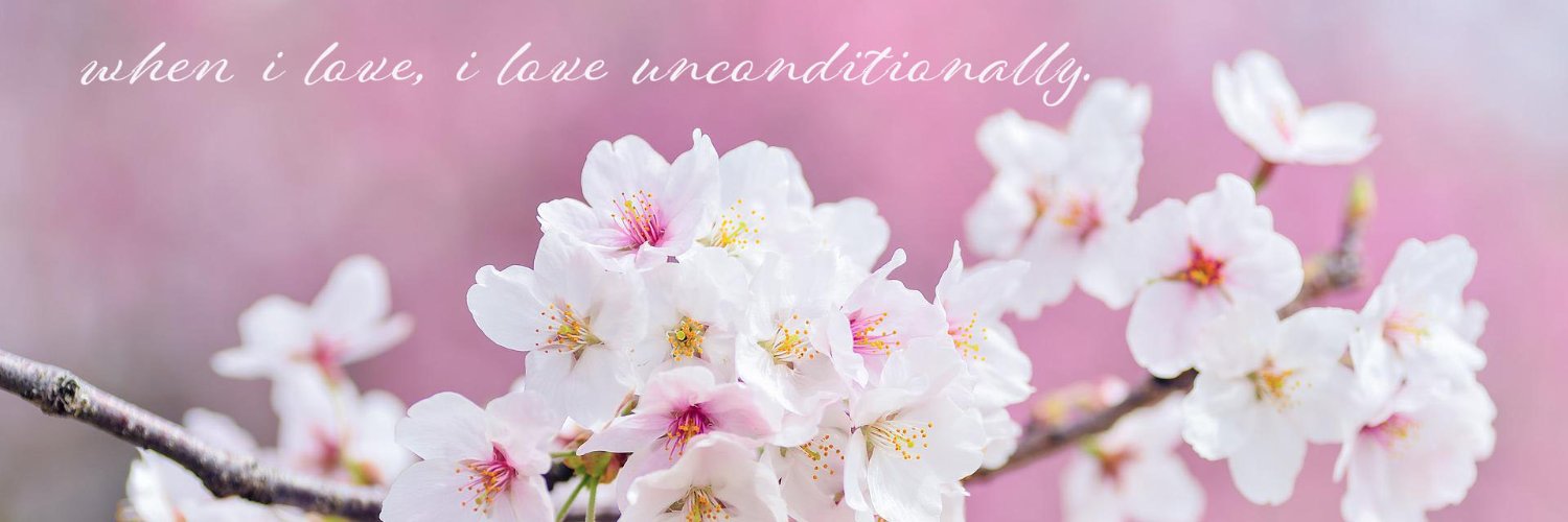 🌸กำแพงดอกไม้🌸 banner