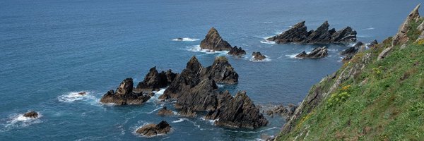 pizquierdog Profile Banner