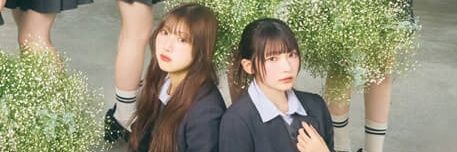 瀬井せいくん(概念)🌪 banner