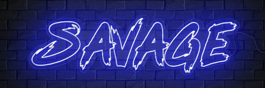 SAVAGE BRO CRYPTO banner