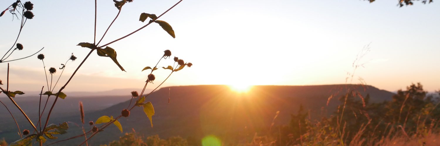 AnthonyAReiter's profile banner image
