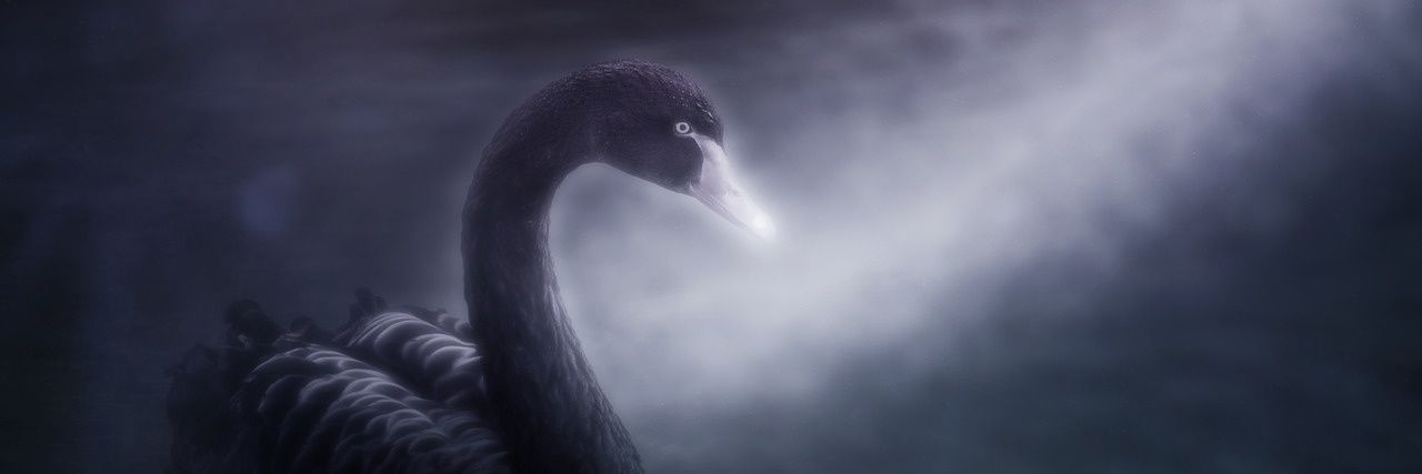 MarcinNest's profile banner image