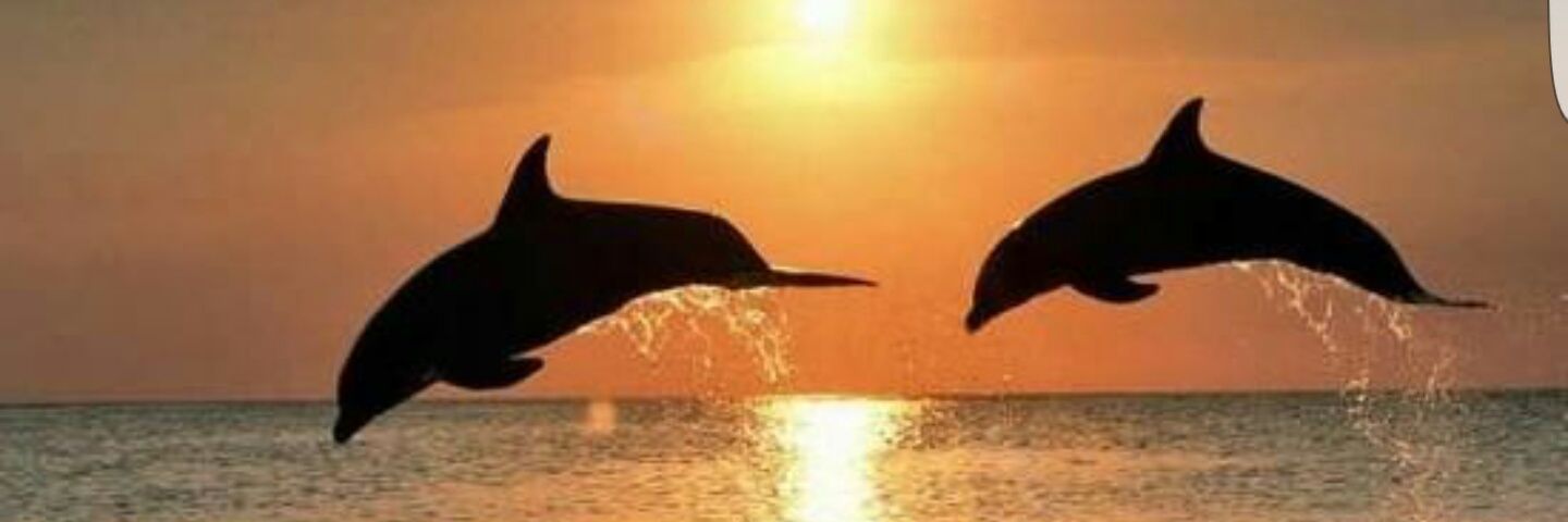 DubaiRoland's profile banner image