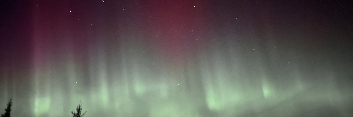ervik's profile banner image