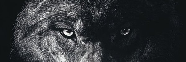 MurryCharles__5 Profile Banner