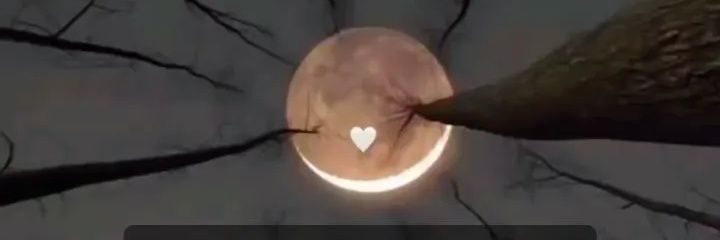 suha_419's profile banner image