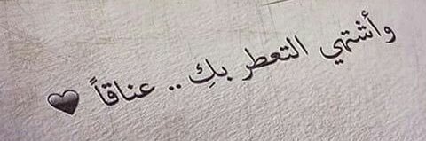 alshabibi7's profile banner image