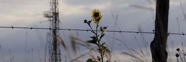 Amira Armenta banner