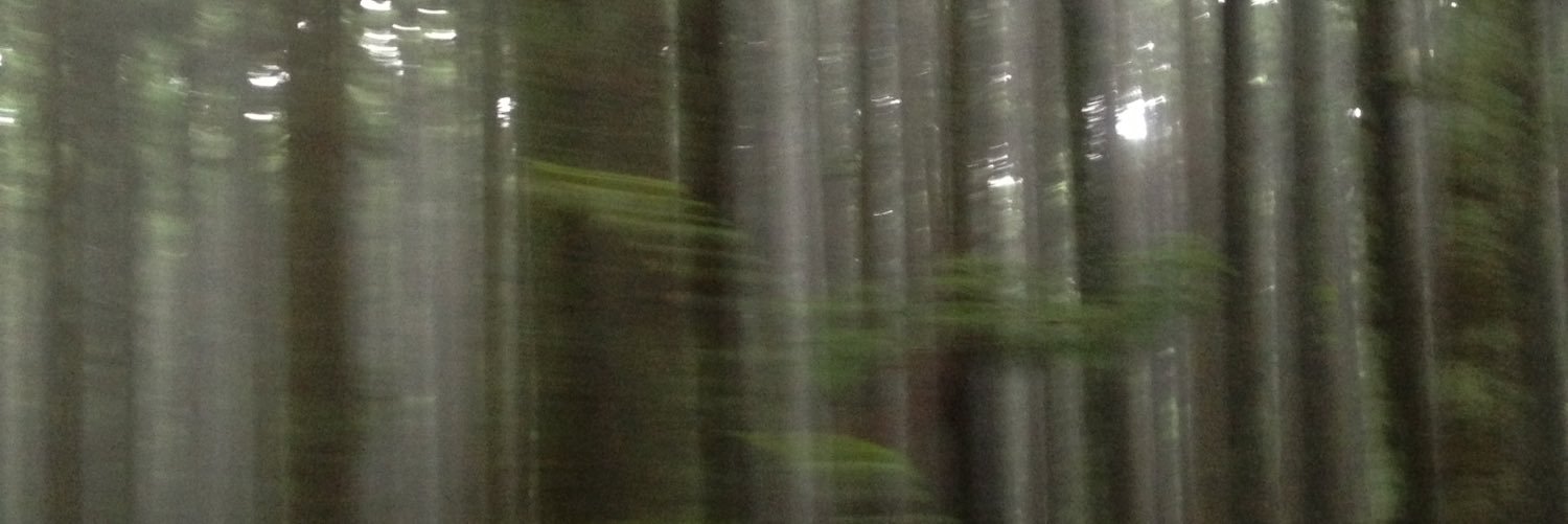 oda_ysk's profile banner image