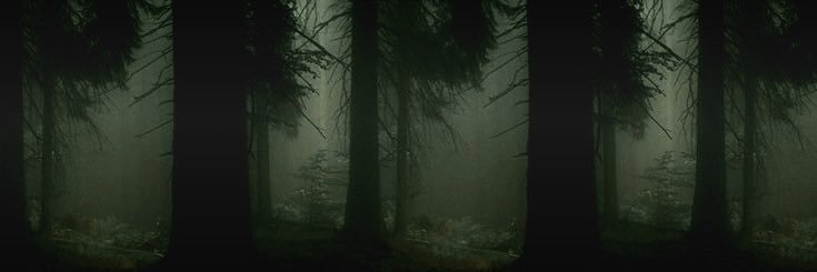 vinttoriano's profile banner image