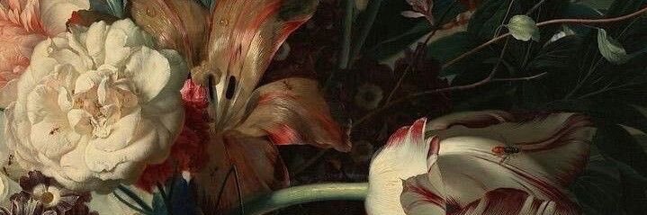 ilvi5i's profile banner image