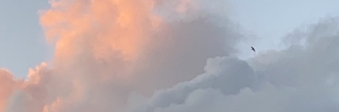 izzzyyhtx's profile banner image