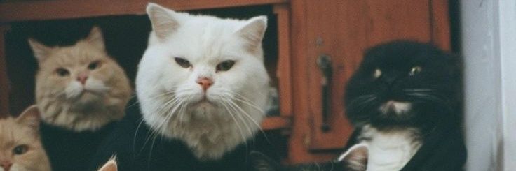 dating6969's profile banner image