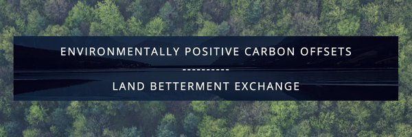 thisislbx Profile Banner