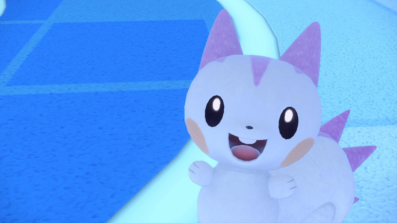 pachirisuky's profile banner image
