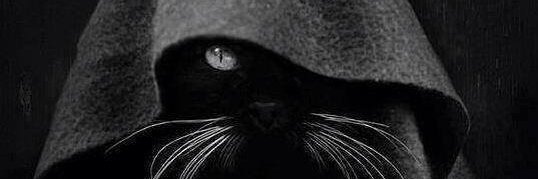 FullMonty802's profile banner image