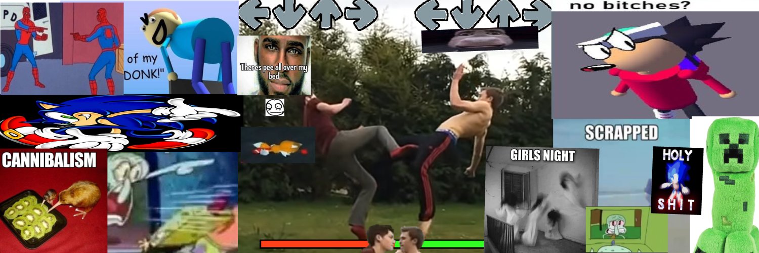 Catsterdan banner