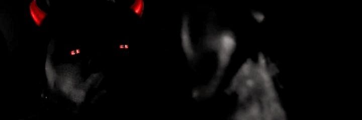 Sol McCoy banner