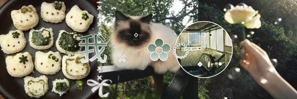 C4epyha Profile Banner