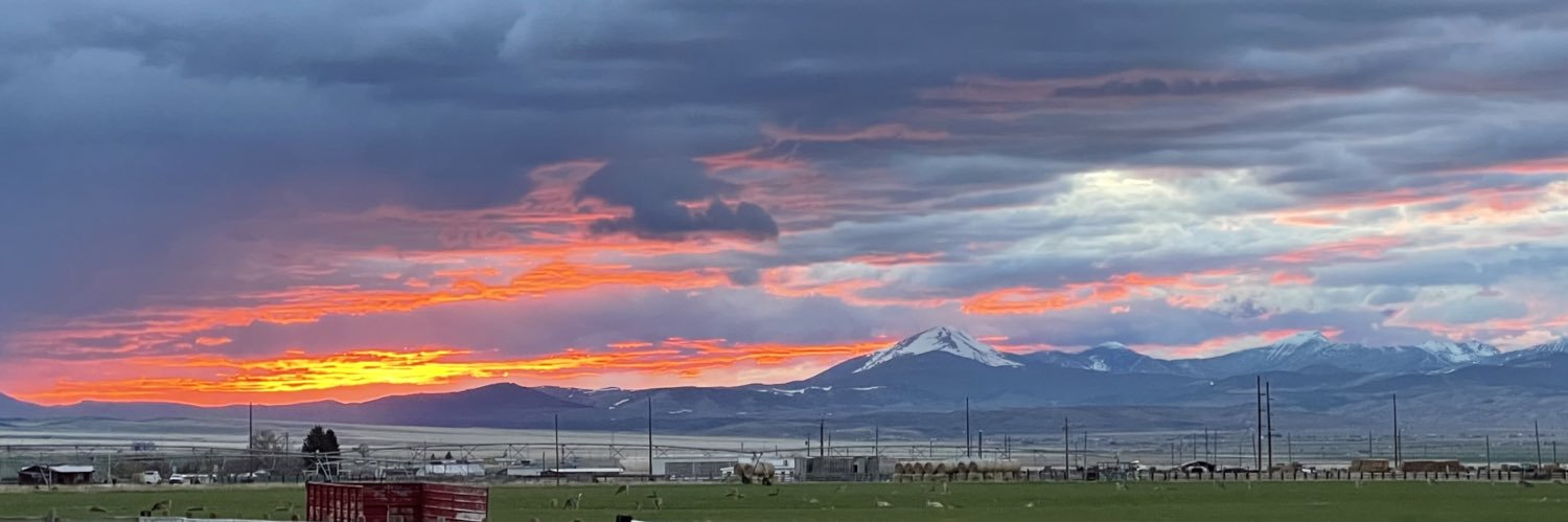 chcolleran's profile banner image