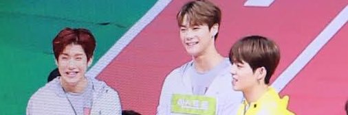 ia | ria ♡ | 🐶🍒 banner