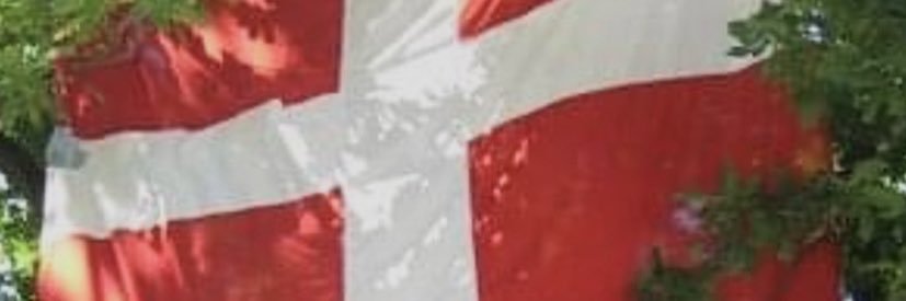 Martin H Pedersen banner