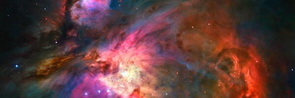 macloco Profile Banner