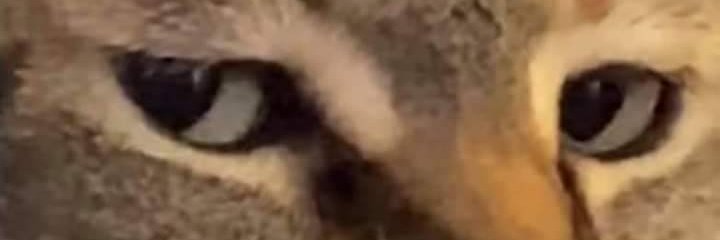 nandoardi's profile banner image
