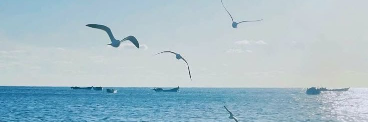 หมีหมีชมจันทร์🌙 banner