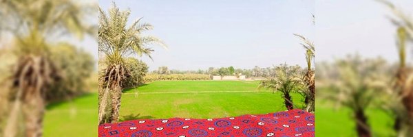 A_alya33 Profile Banner