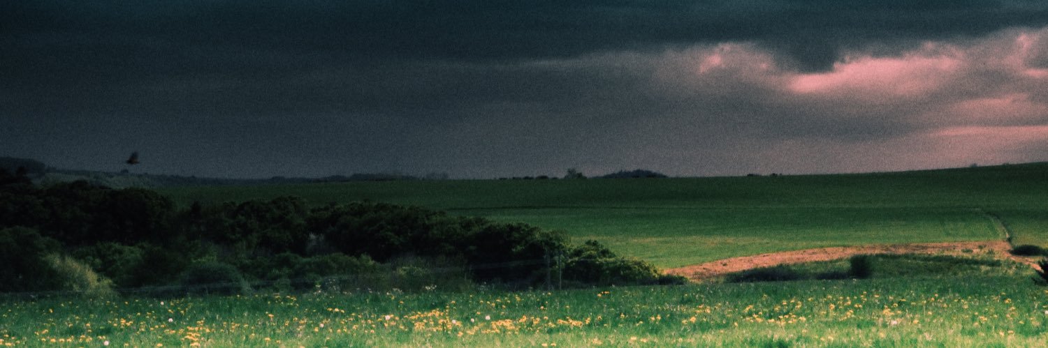 𝓛 banner