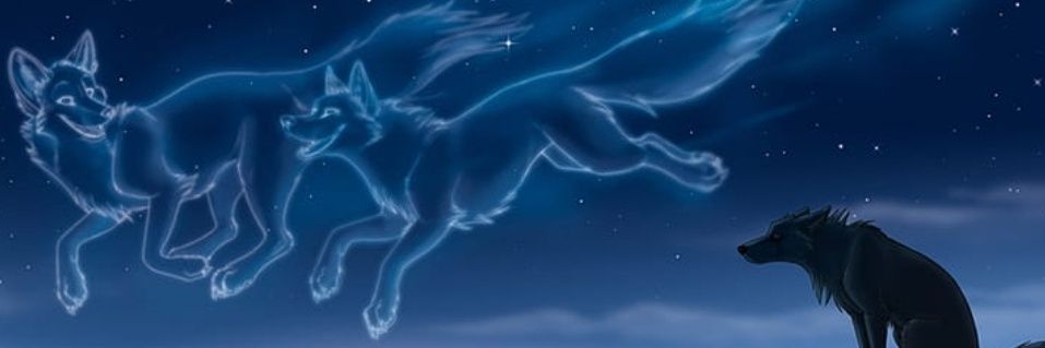 _BlueFoxi_'s profile banner image