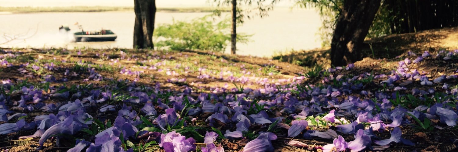 VIVITORRE's profile banner image