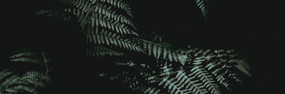 thatbeccavon's profile banner image