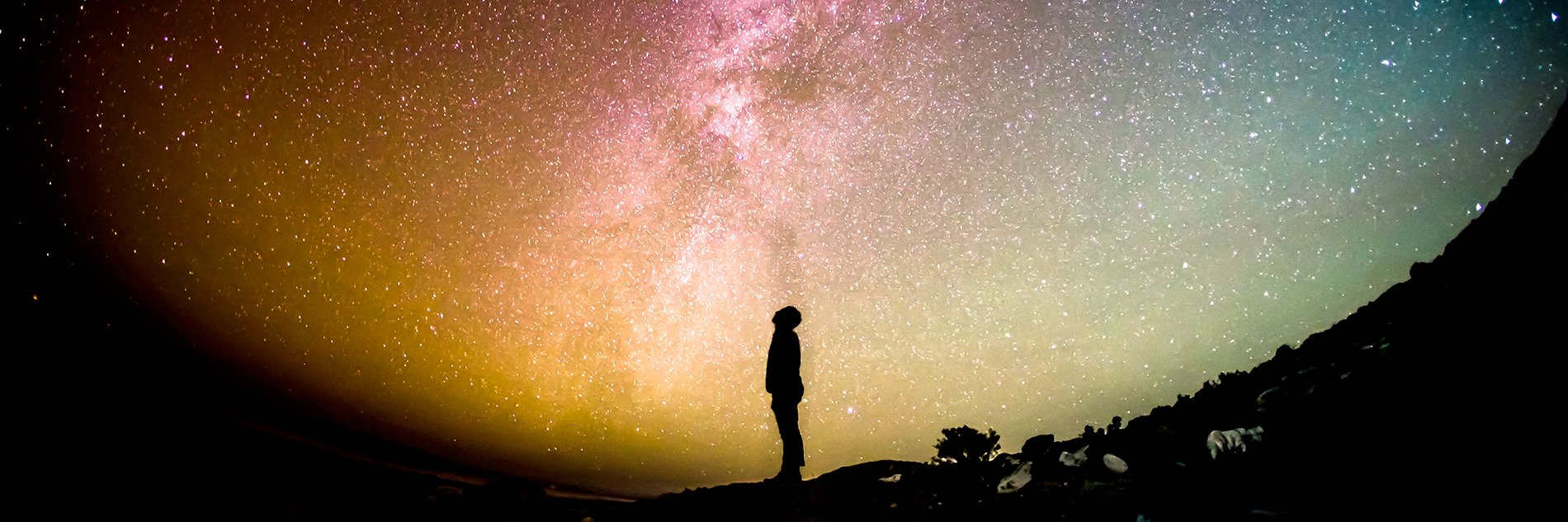 Dario Carotenuto banner