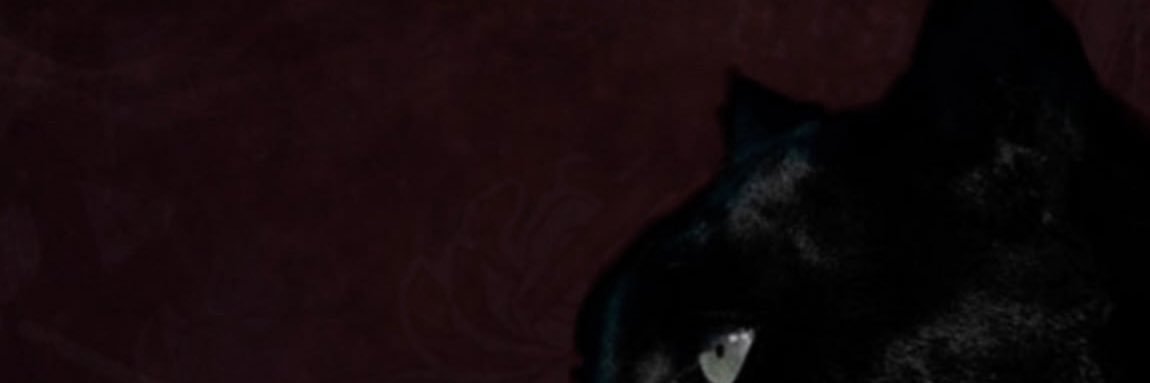 scriptedingloss's profile banner image