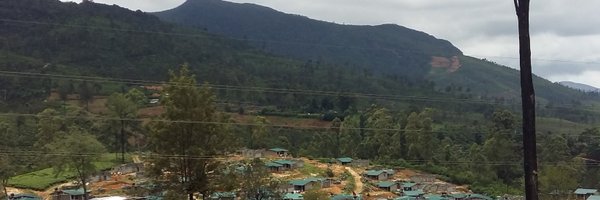 nisharafernand2 Profile Banner