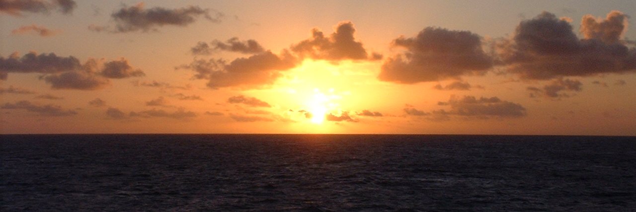 tnet103's profile banner image