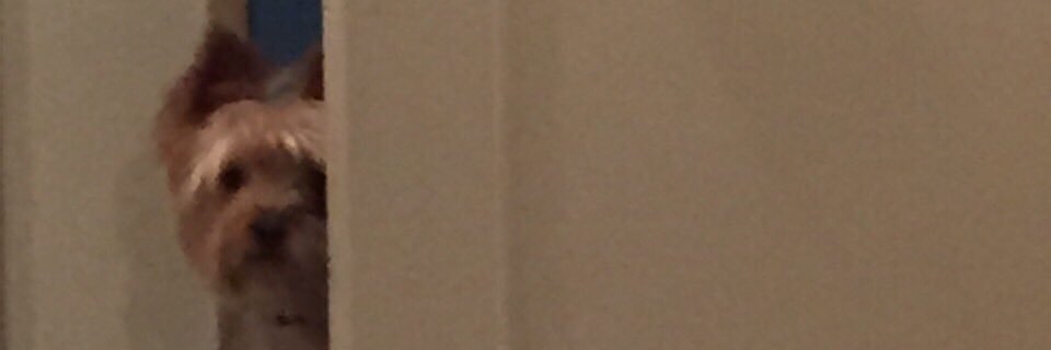 りーやま banner